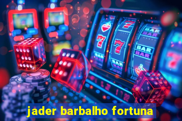 jader barbalho fortuna